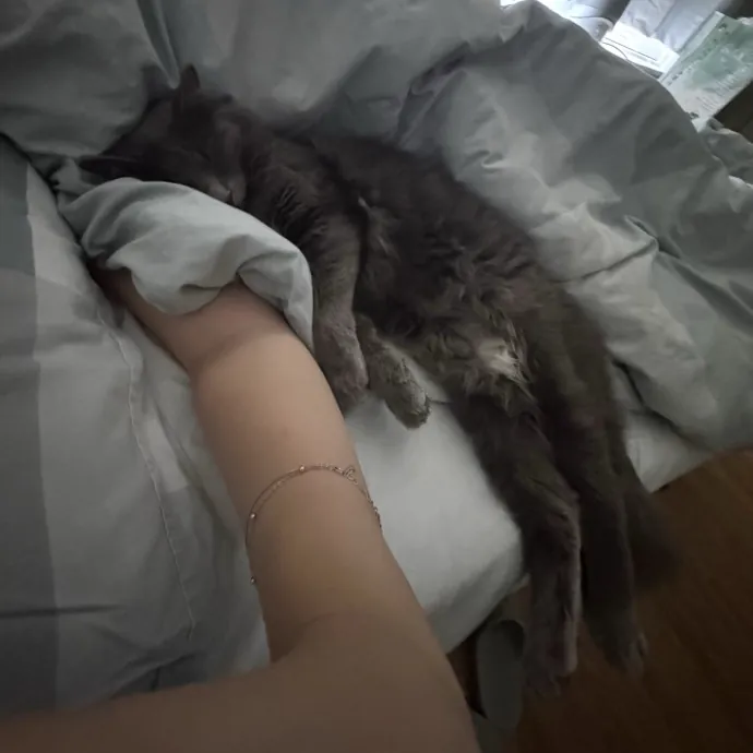 Lulu D.