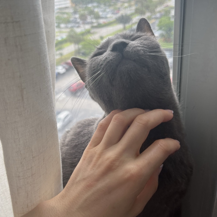Cat Loving Dietitian photo 3