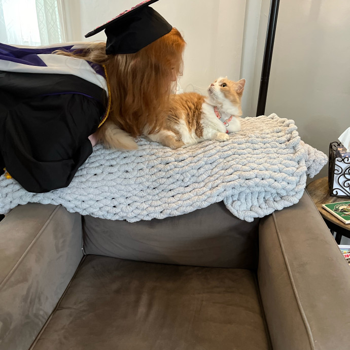 Cat Sitter Kiley