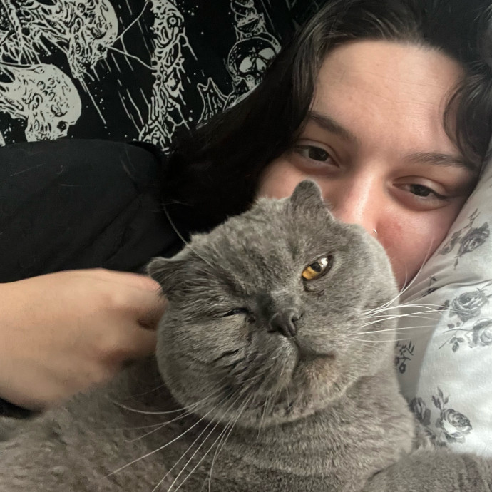 Reliable And Friendly Feline Friend