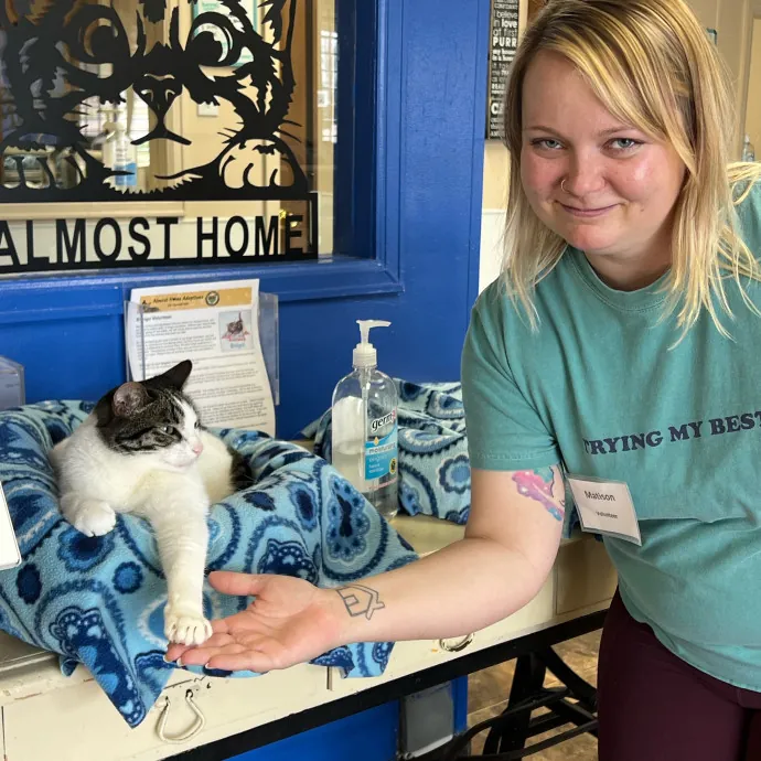Cat Sanctuary Volunteer For 4 Years
