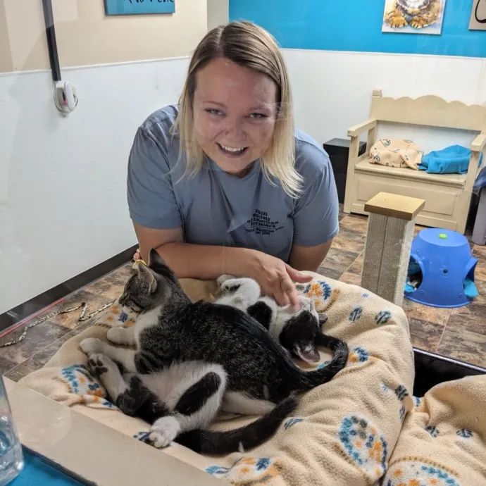 Cat Sanctuary Volunteer For 4 Years