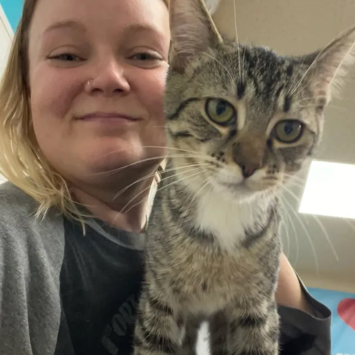 Cat Sanctuary Volunteer For 4 Years photo 4