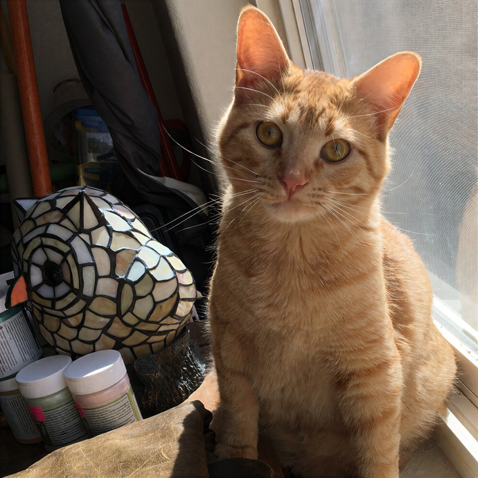 Bastet's Kitten Companion