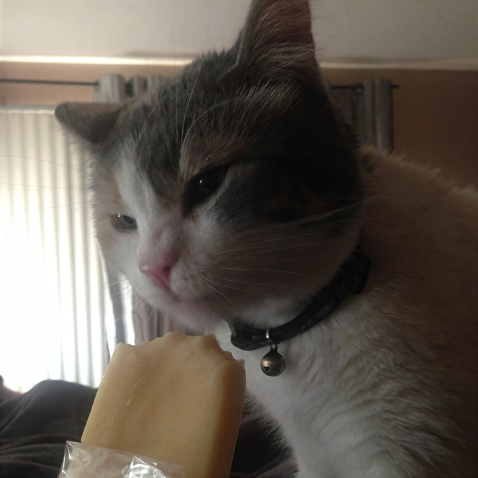 Bastet's Kitten Companion