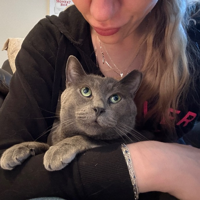 Floofy Friend For City Kitties