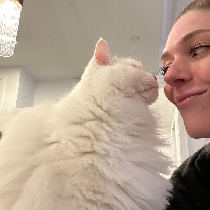 Floofy Friend For City Kitties