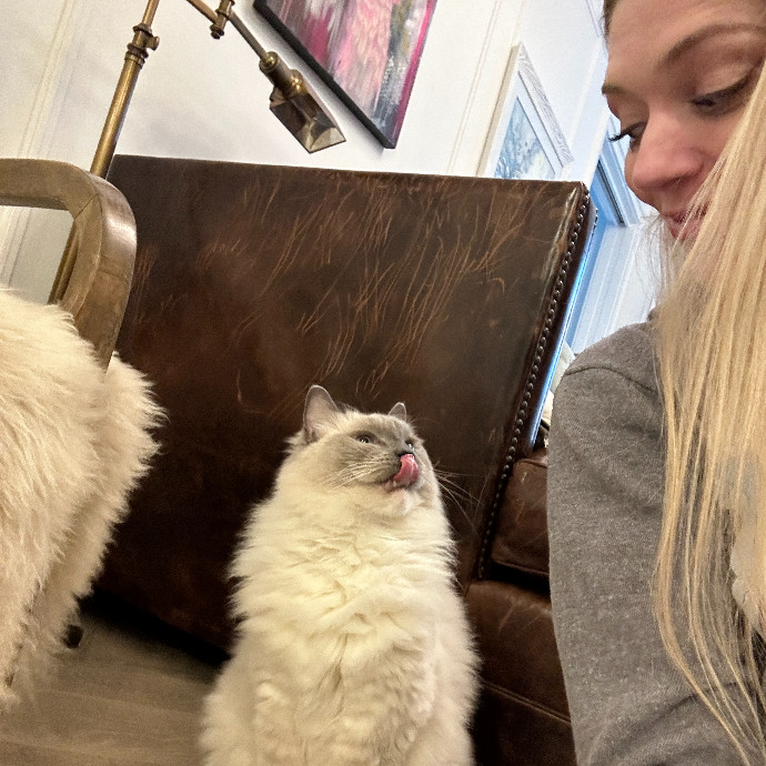 Floofy Friend For City Kitties