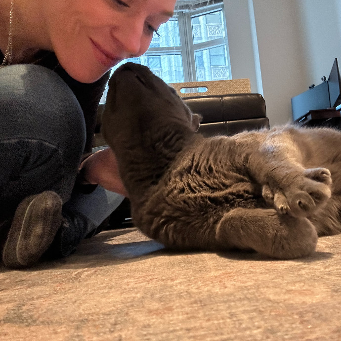 Floofy Friend For City Kitties