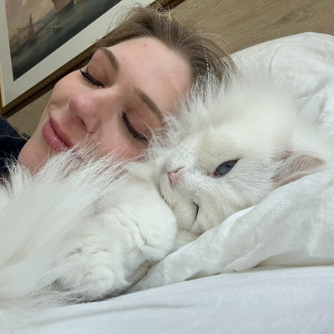 Floofy Friend For City Kitties