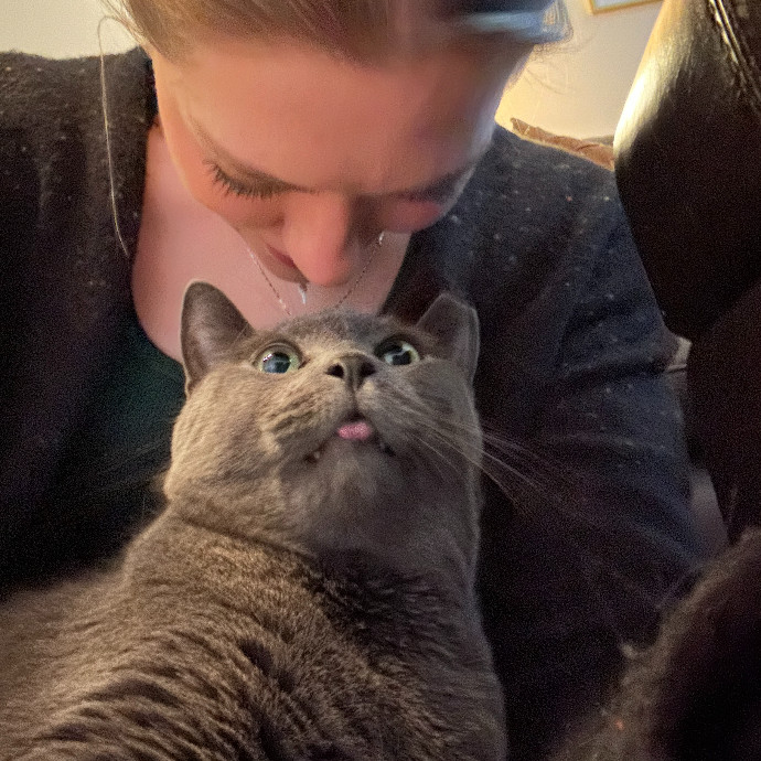 Floofy Friend For City Kitties