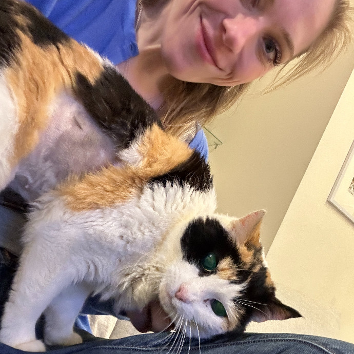 Floofy Friend For City Kitties