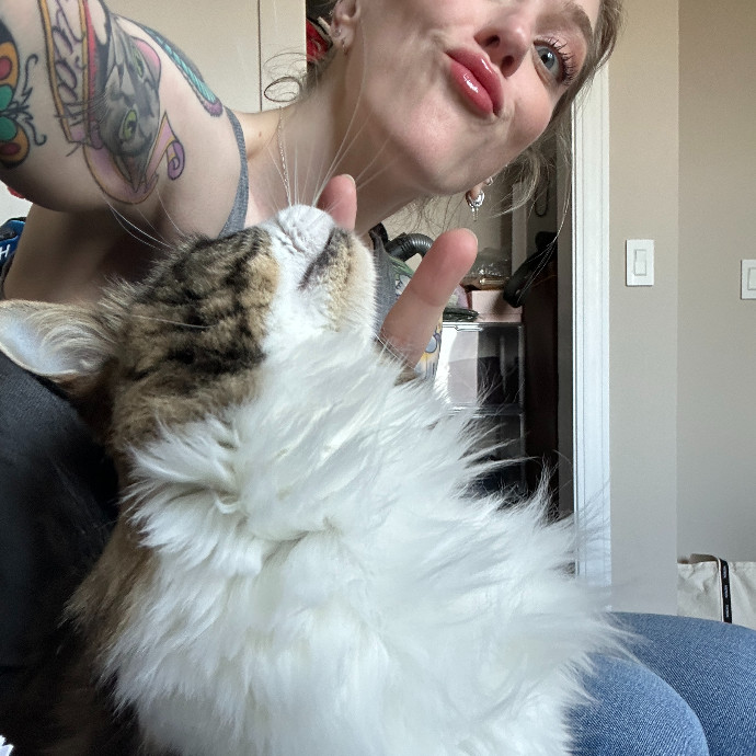 Floofy Friend For City Kitties