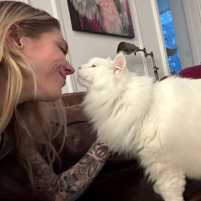 Floofy Friend For City Kitties