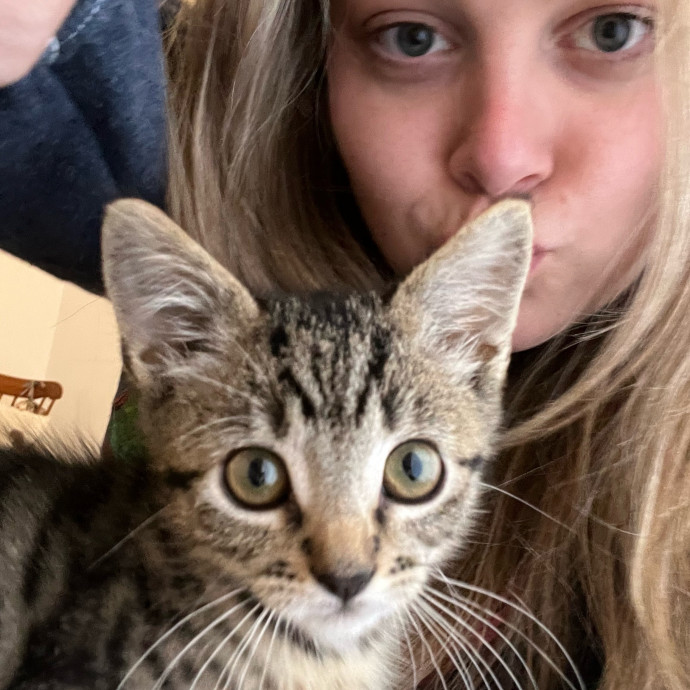 Purrfectly Pampered Kitty Visits