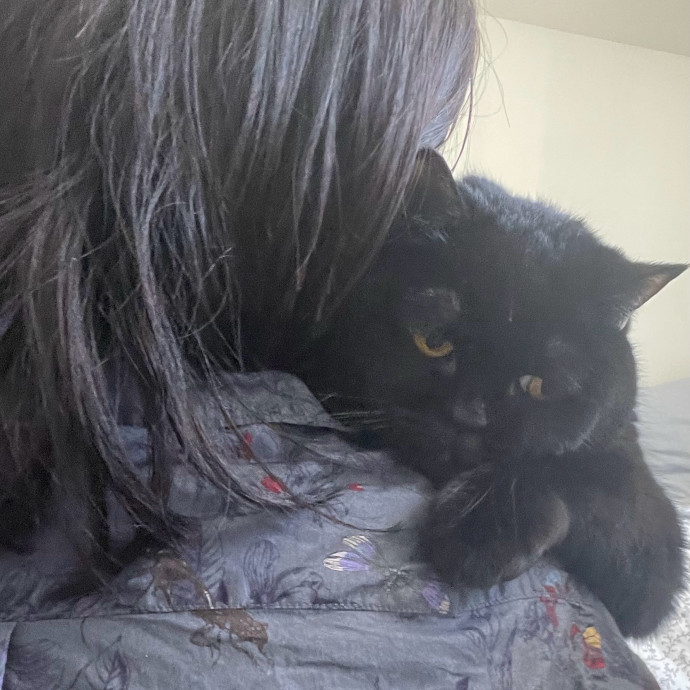 Specialising In Seniors Medical Disabled Furbabies