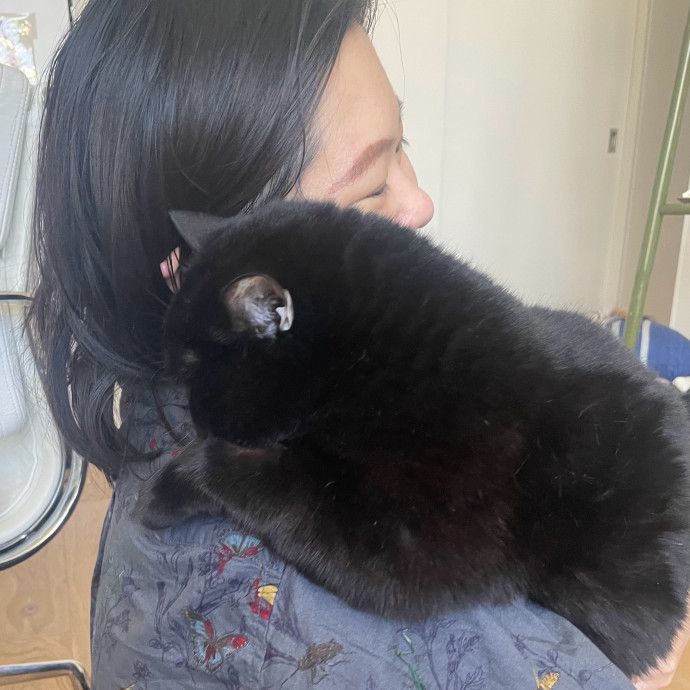 Specialising In Seniors Medical Disabled Furbabies