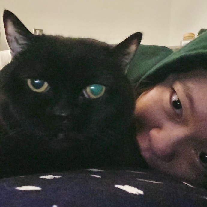 Specialising In Seniors Medical Disabled Furbabies