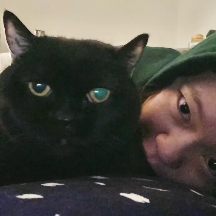 Specialising In Seniors Medical  Disabled Kitties