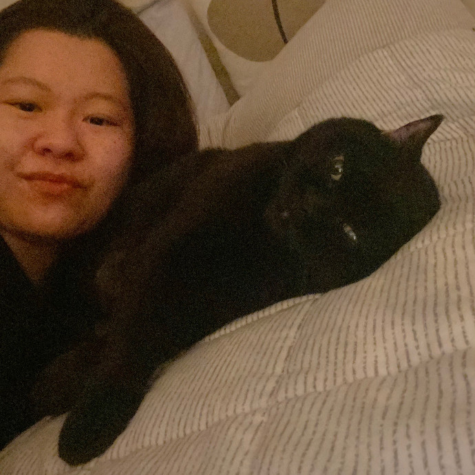 Specialising In Seniors Medical Disabled Furbabies