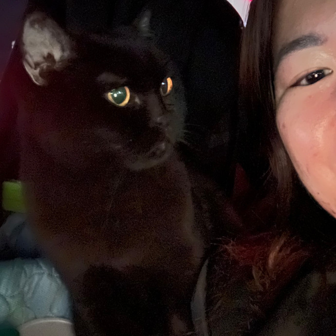 Specialising In Seniors Medical Disabled Furbabies photo 3