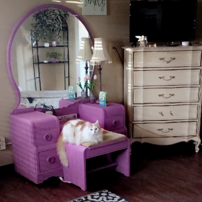 Ady The Cat Sitting Lady