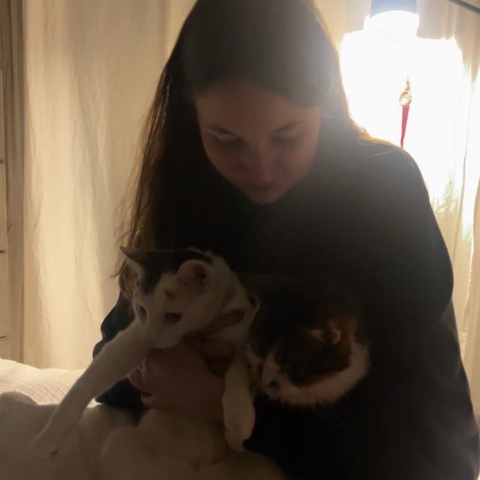 Purr-Fect Cat Sitter