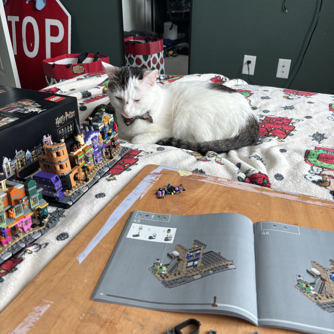 Purr-Fect Cat Sitter photo 2
