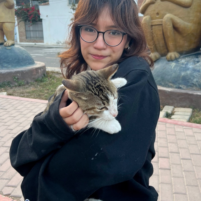 Cat Sitter