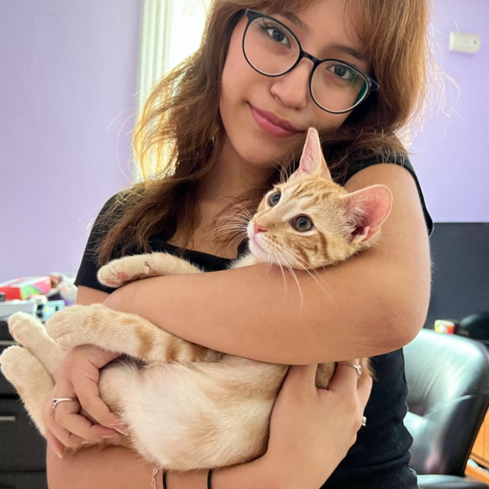 Cat Sitter photo 3