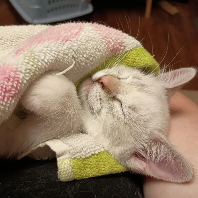 Vet Tech Vip Care