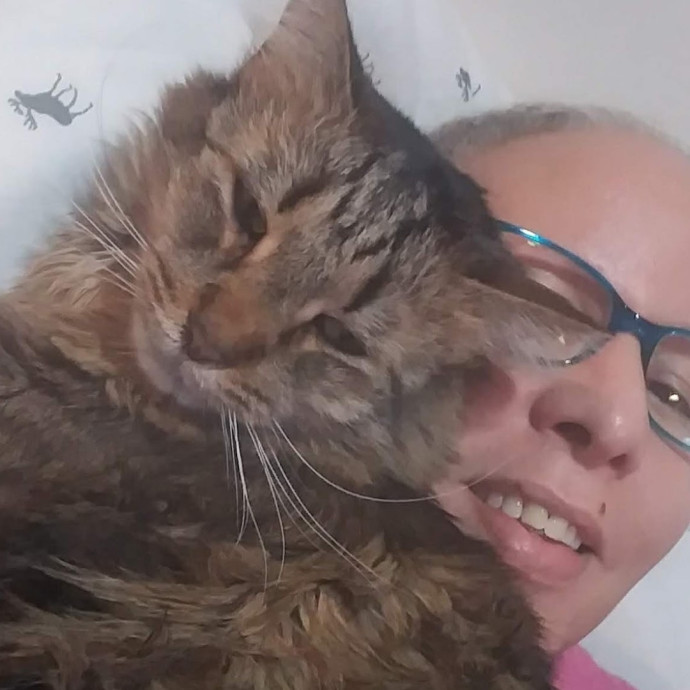 Lauren Loves Kitties