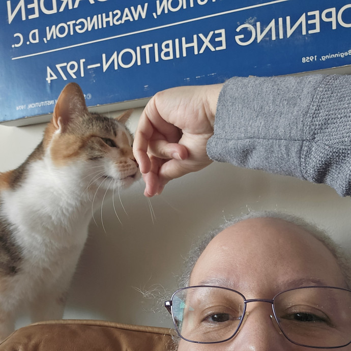 Lauren Loves Kitties photo 3