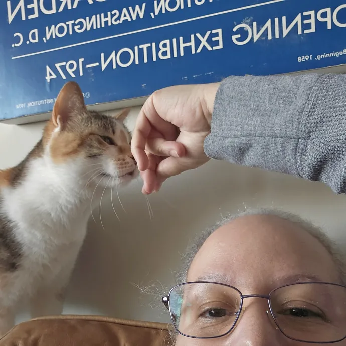 Lauren Loves Kitties photo 3