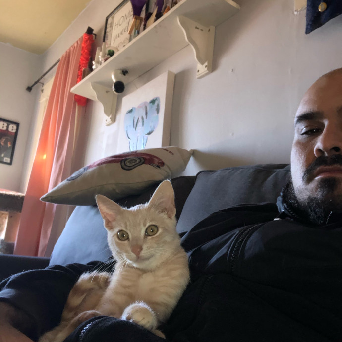Ernie's Cats