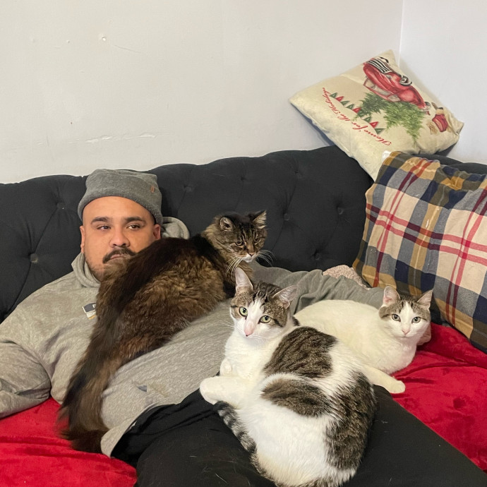 Ernie's Cats