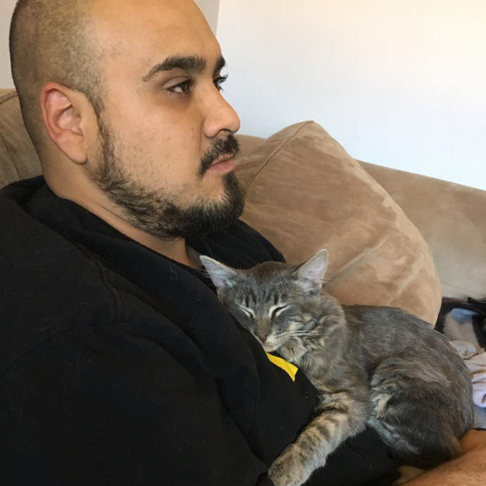 Ernie's Cats