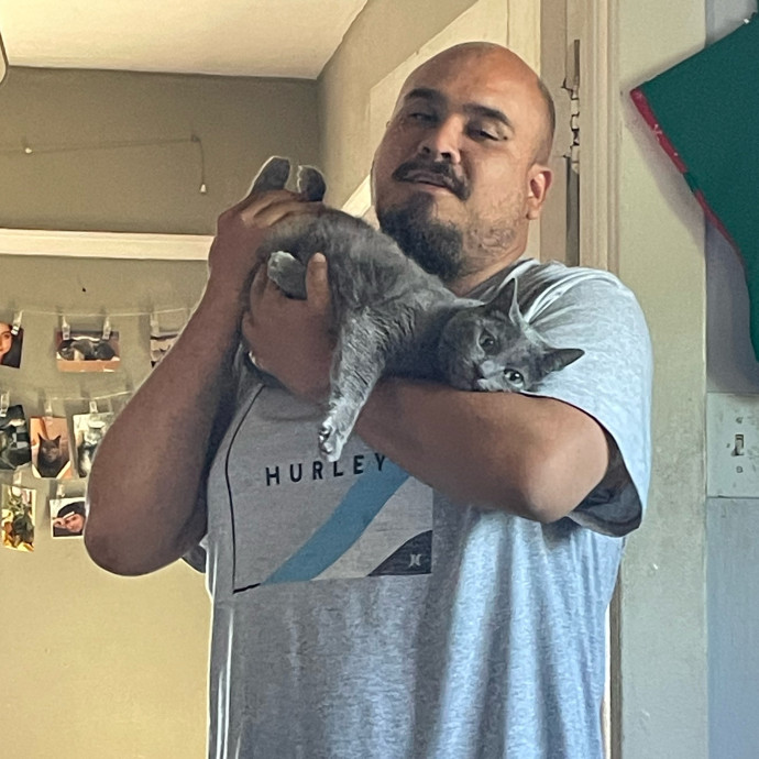 Ernie's Cats