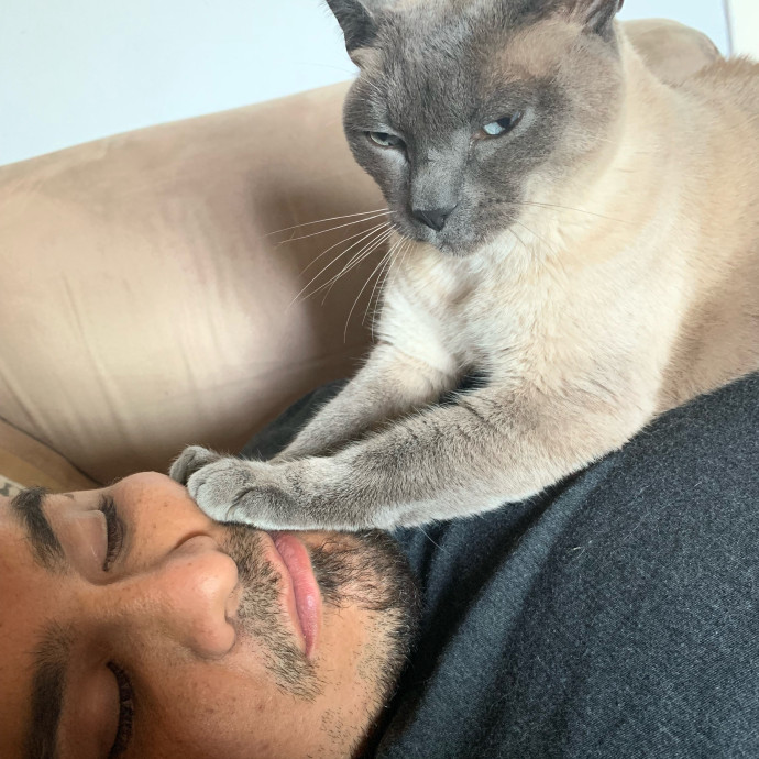 Ernie's Cats