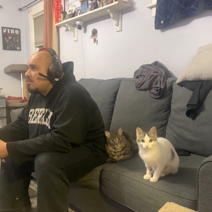 Ernie's Cats