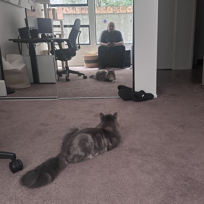 Ernie's Cats