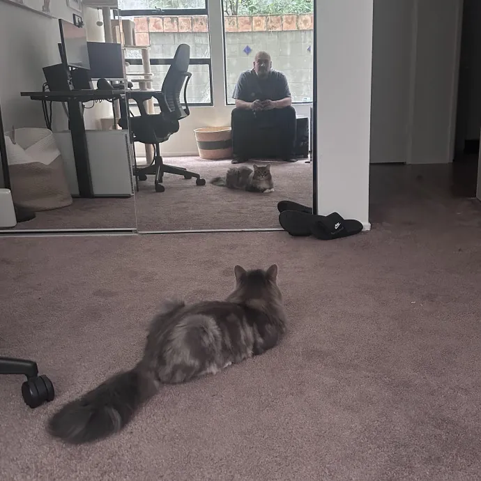 Ernie's Cats
