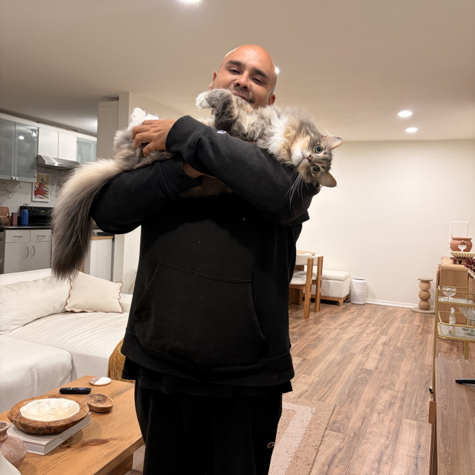 Ernie's Cats