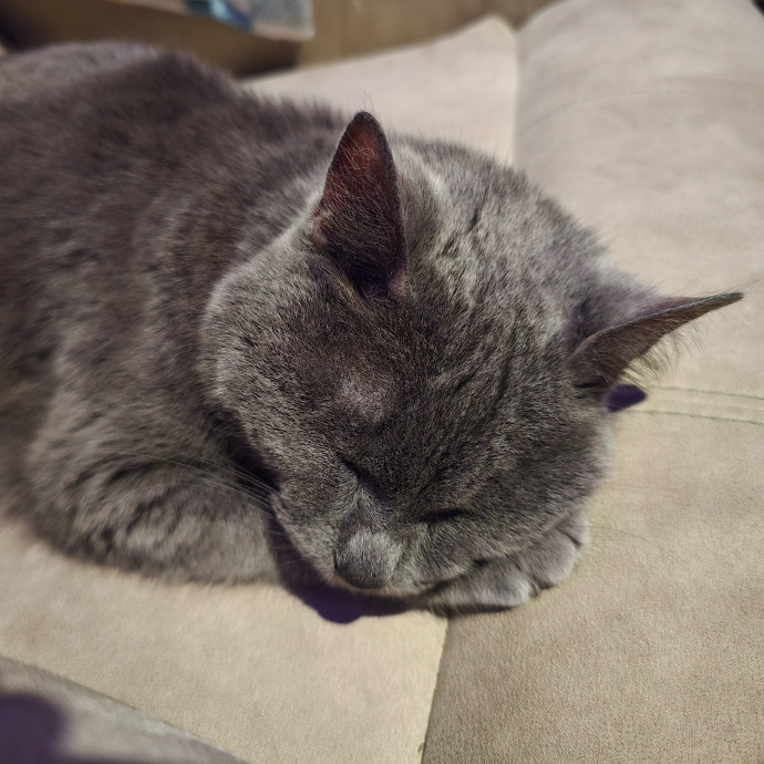 Allie photo 2