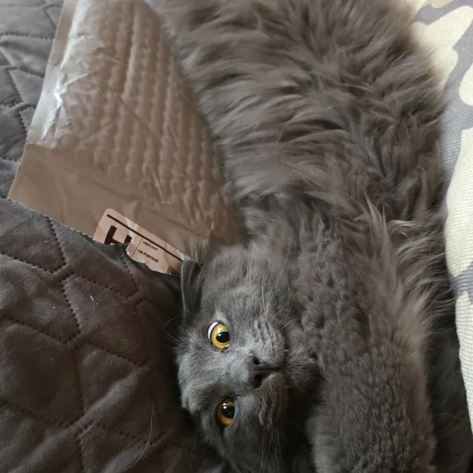 Reliable And Experienced photo 4