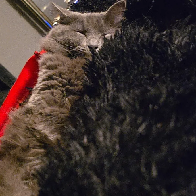 Reliable And Experienced photo 3