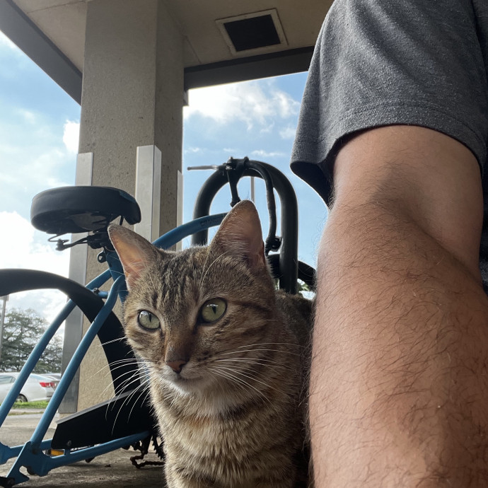 Studentworkercat Guy