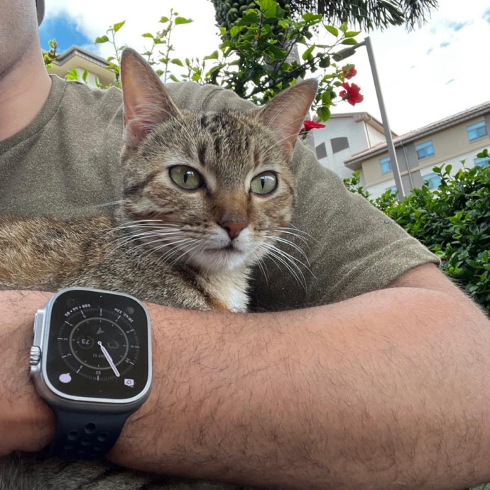 Studentworkercat Guy