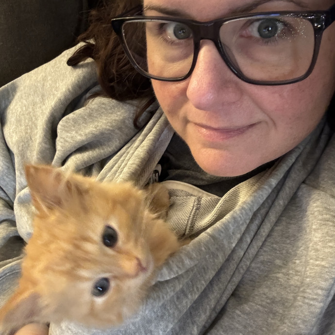 Your Cat's New Best Friend photo 2