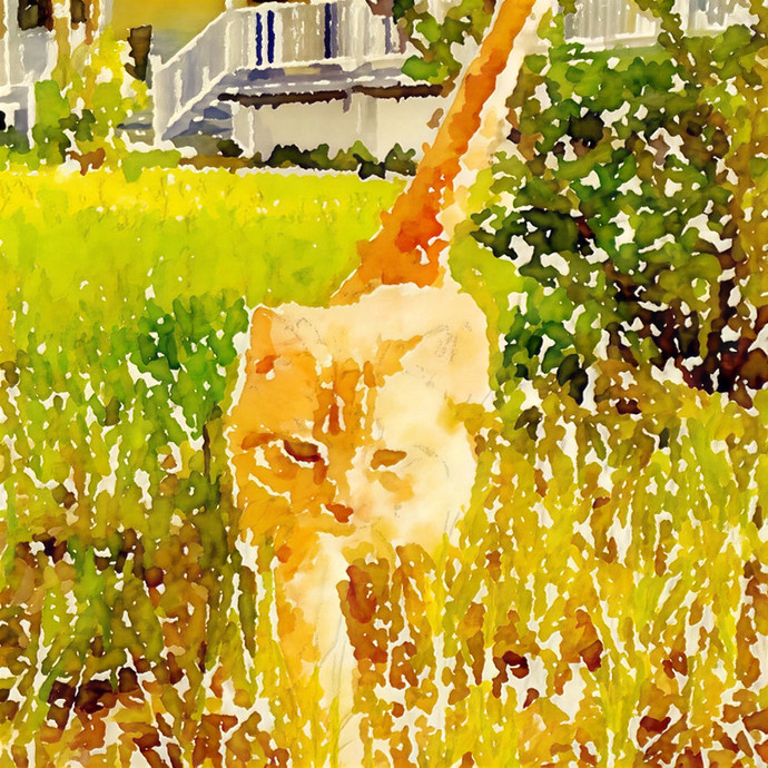 Mewow Kitty Sitter
